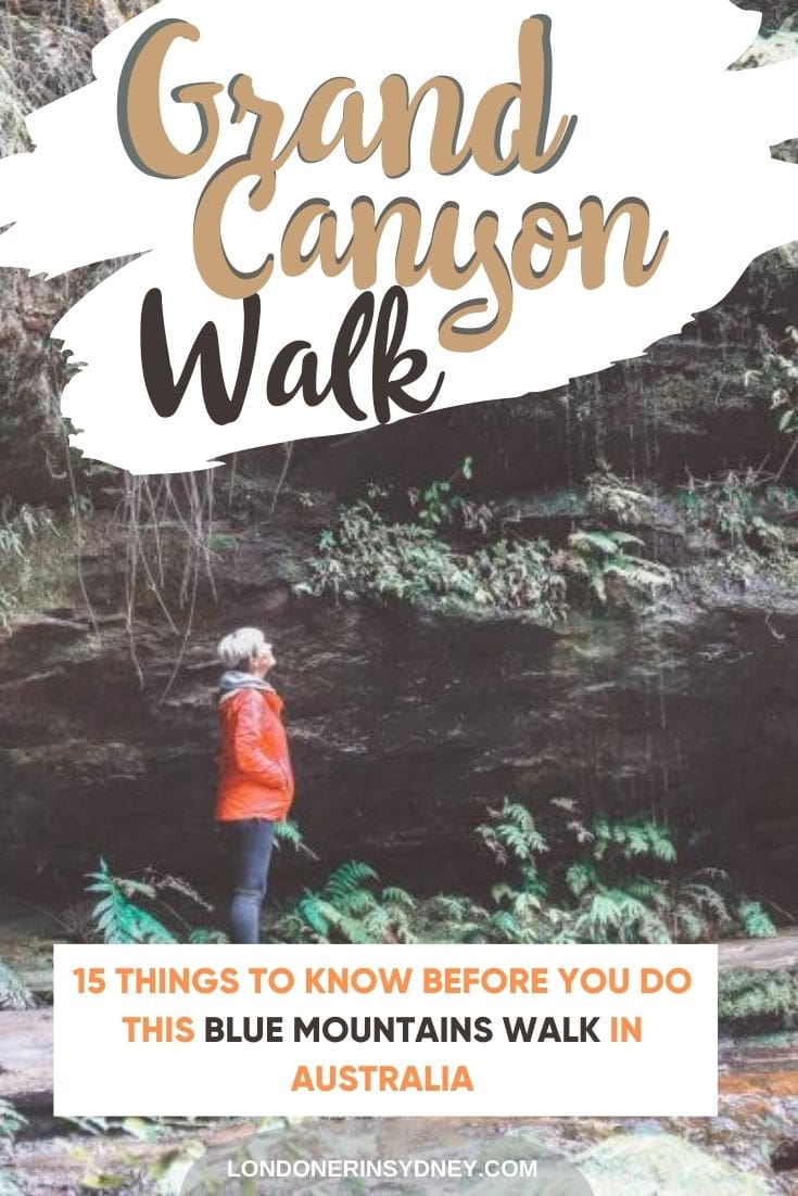 Grand-canyon-walk-blue-mountains - Londoner In Sydney Grand-canyon-walk-blue-mountains