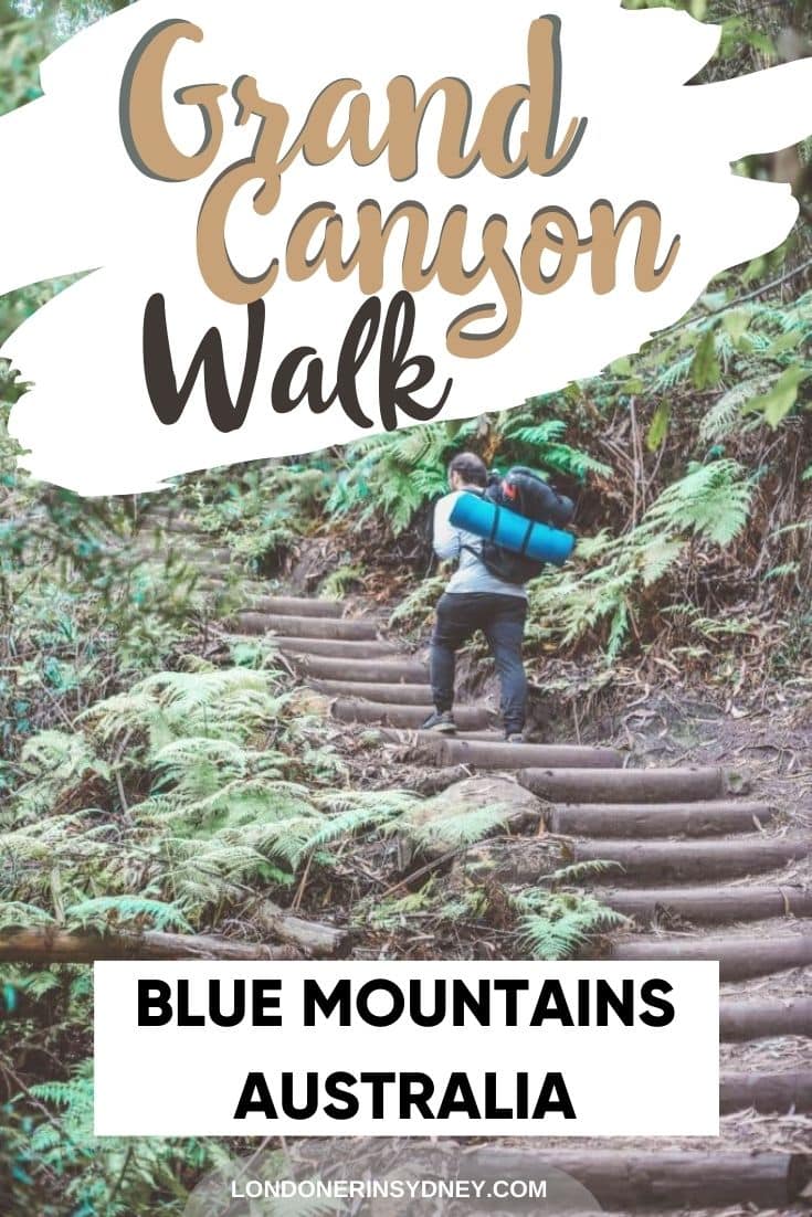 grand-canyon-walk-blue-mountains-1 - Londoner In Sydney