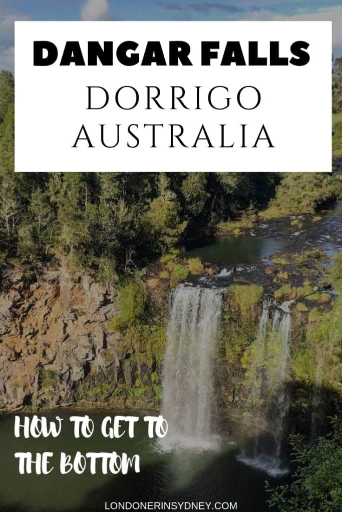 DORRIGO-FALLS-NSW - Londoner In Sydney DORRIGO-FALLS-NSW
