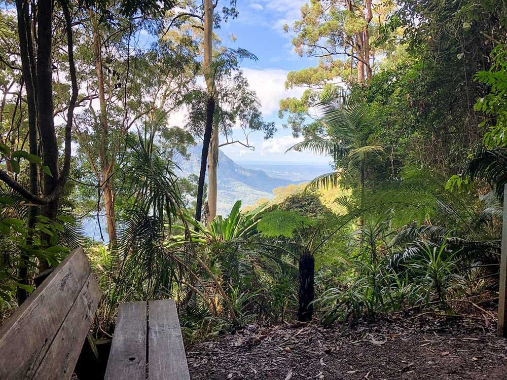 hiking-near-coffs-harbous - Londoner In Sydney hiking-near-coffs-harbous