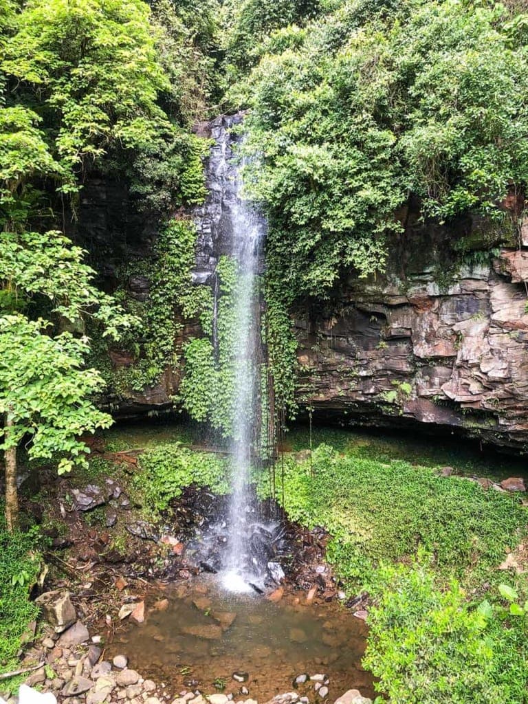 crystal-shower-falls-dorrigo - Londoner In Sydney crystal-shower-falls-dorrigo