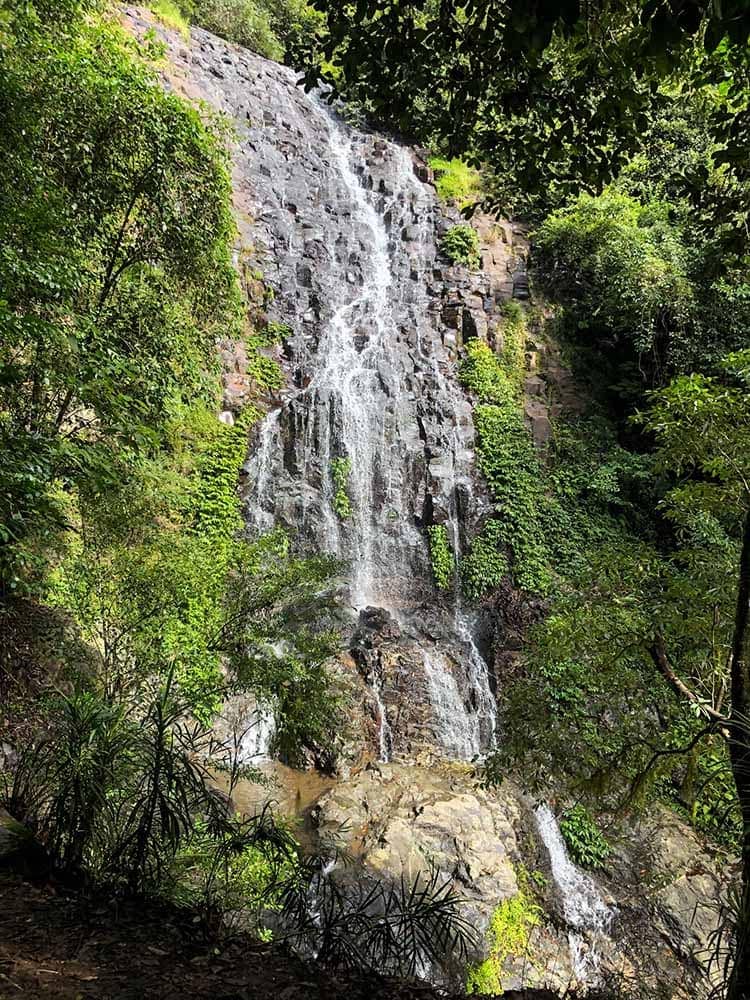 tristania-falls-dorrigo - Londoner In Sydney tristania-falls-dorrigo