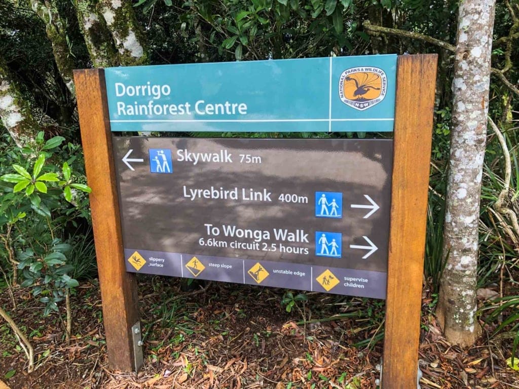 crystal-shower-walk-dorrigo - Londoner In Sydney crystal-shower-walk-dorrigo
