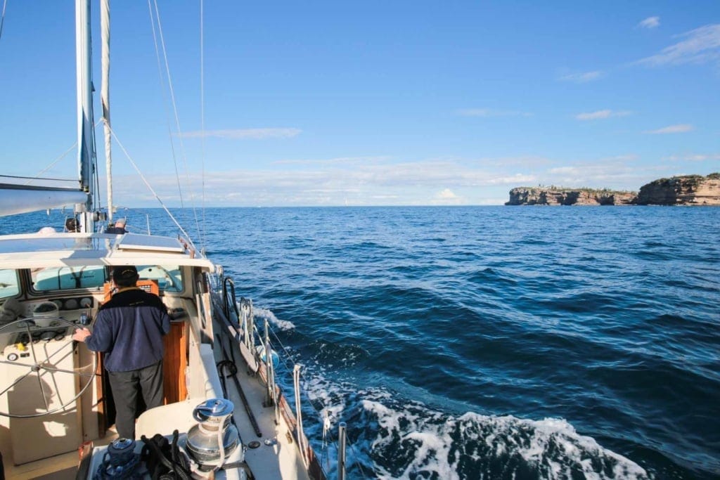 sydney-eco-whale-adventures - Londoner In Sydney sydney-eco-whale-adventures