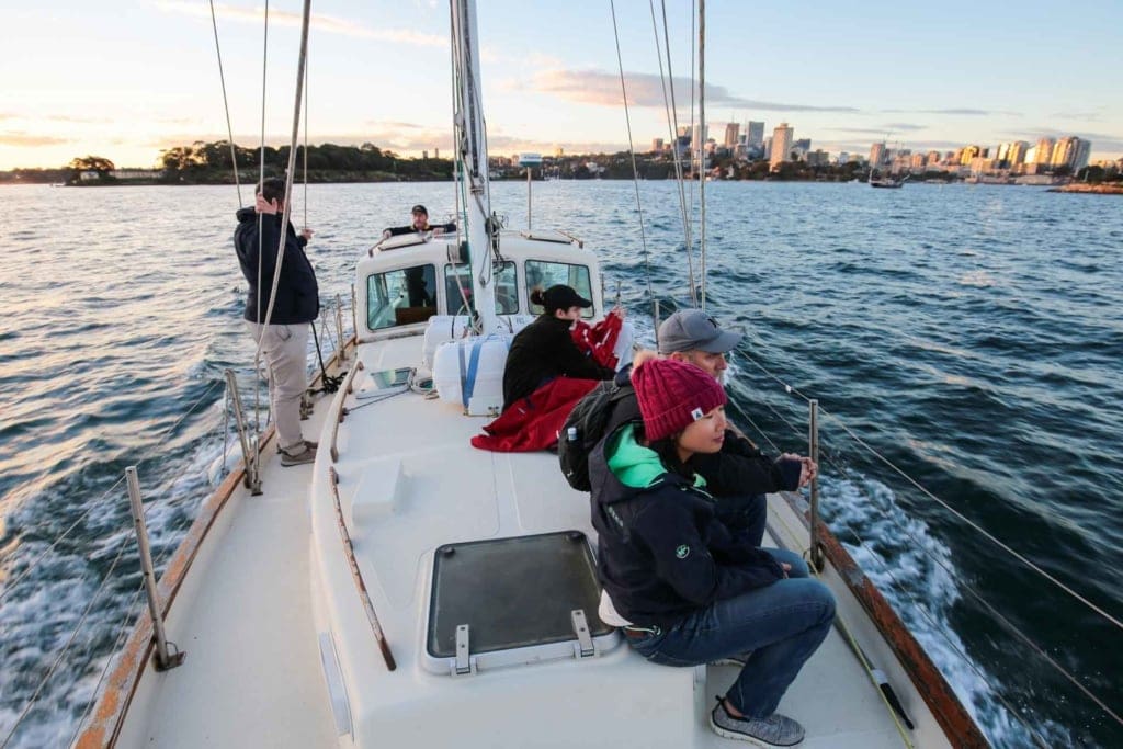 whale-watching-sydney-tour