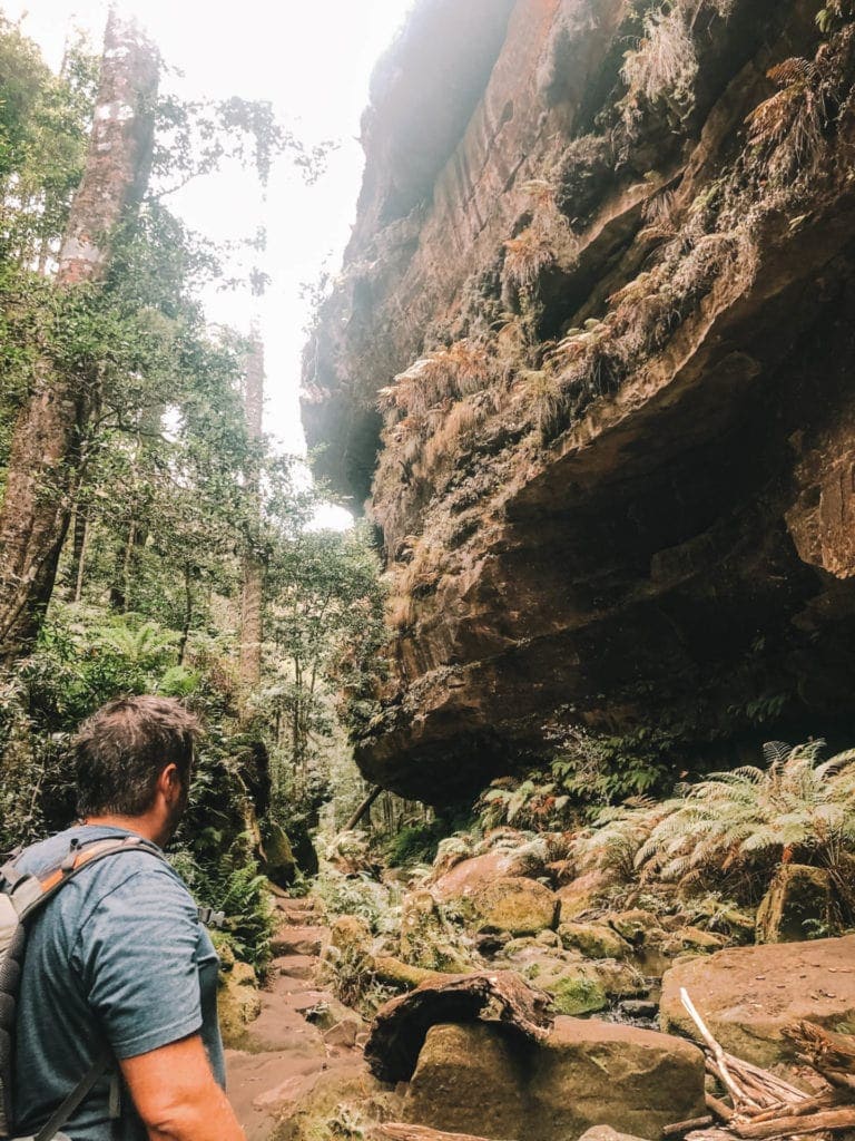 grand-canyon-loop-blue-mountains - Londoner In Sydney grand-canyon-loop-blue-mountains