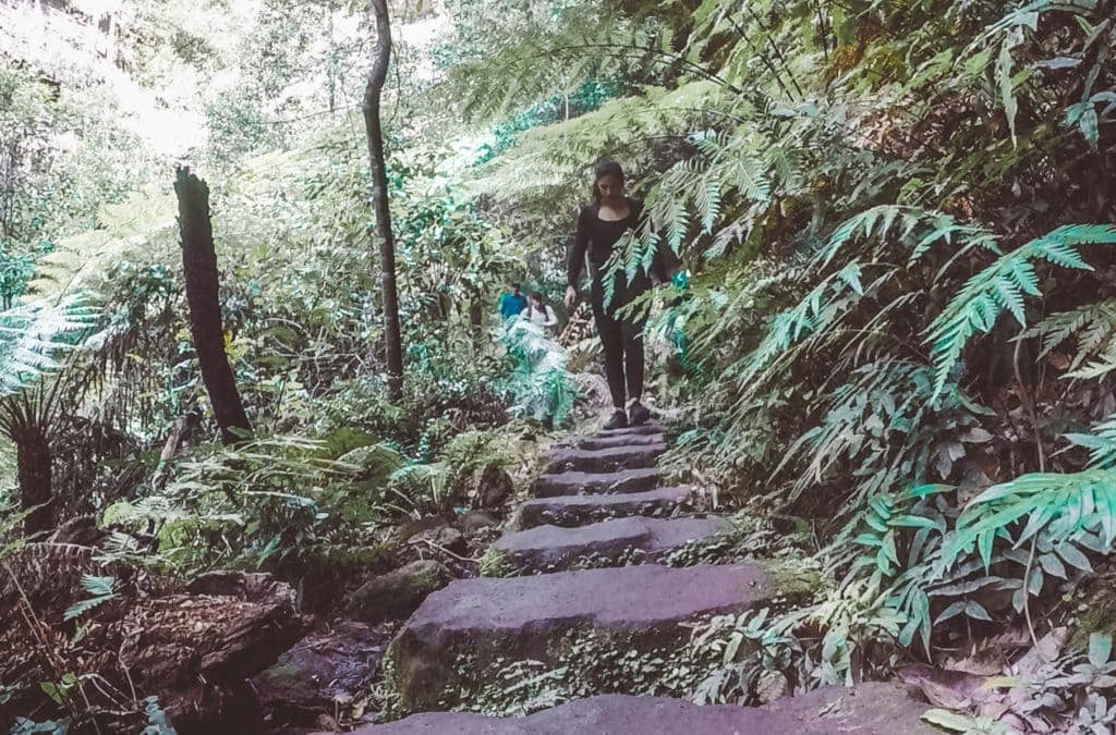 blue-mountains-canyon-walk