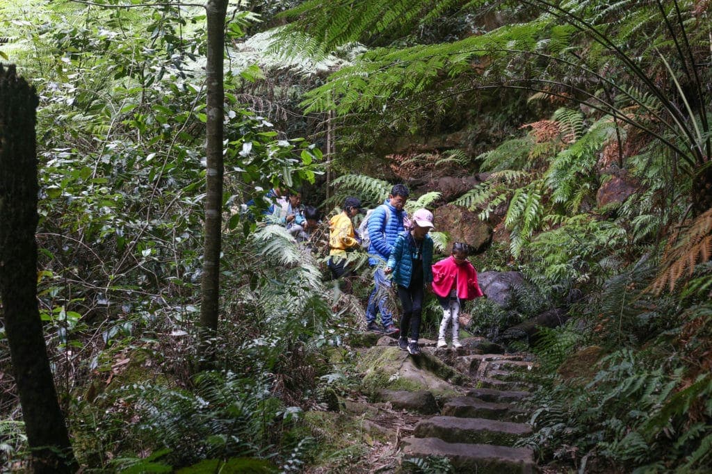 best-blue-mountains-hike - Londoner In Sydney best-blue-mountains-hike