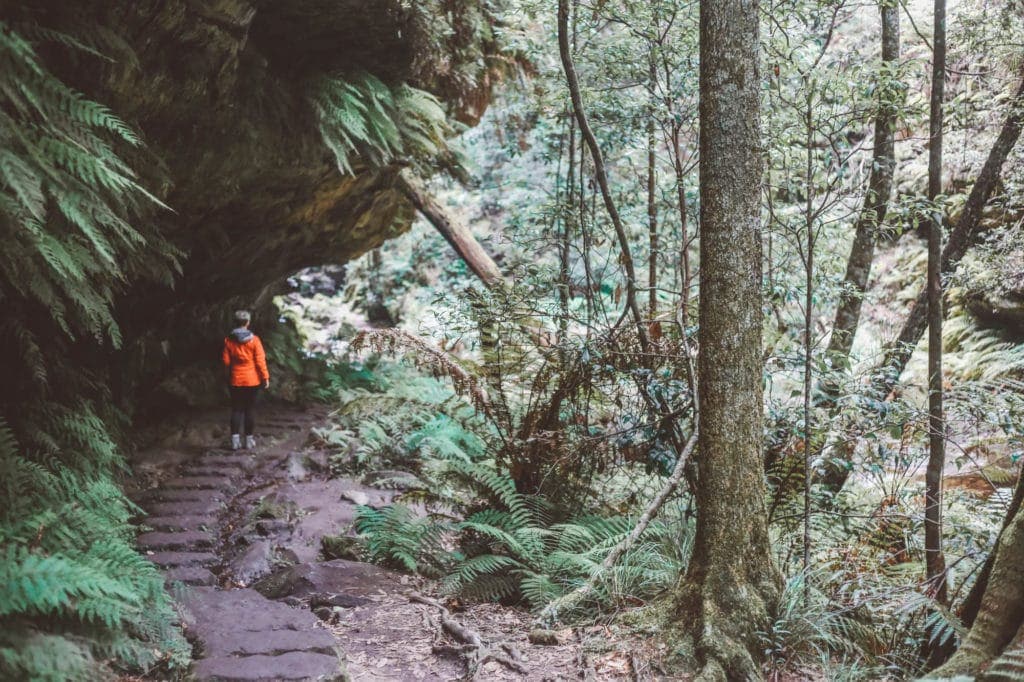 grand-canyon-walk-blue-mountains