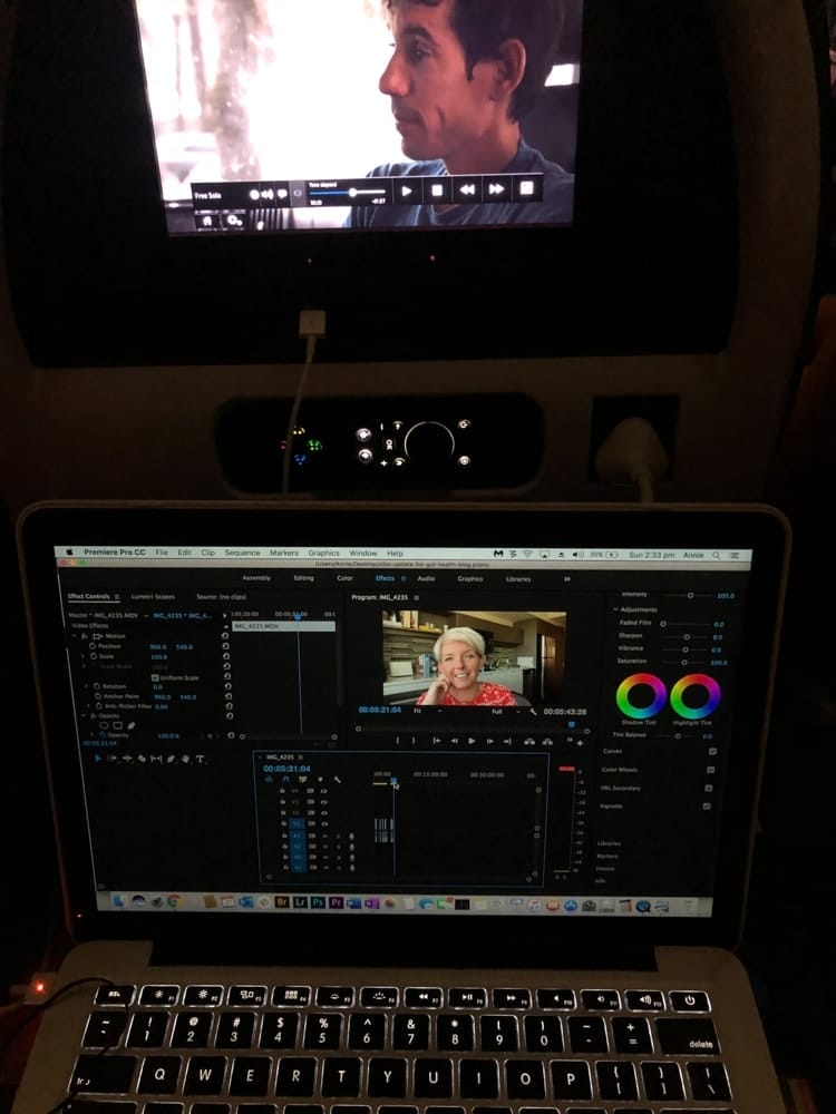 american-airlines-flight - Londoner In Sydney american-airlines-flight