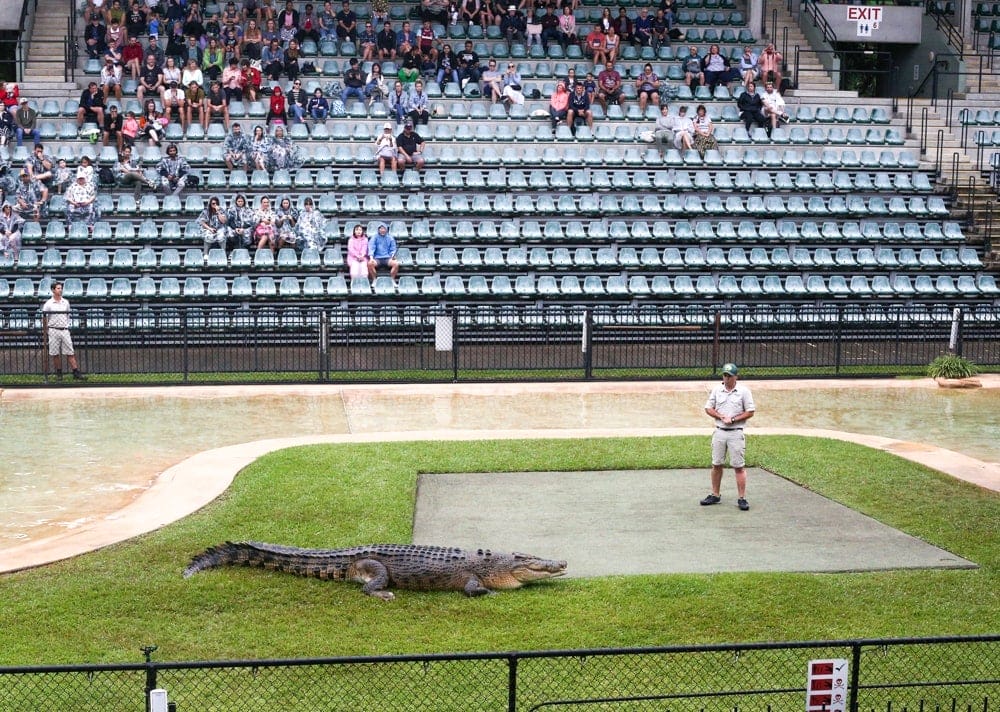 Australia-zoo-croc-show