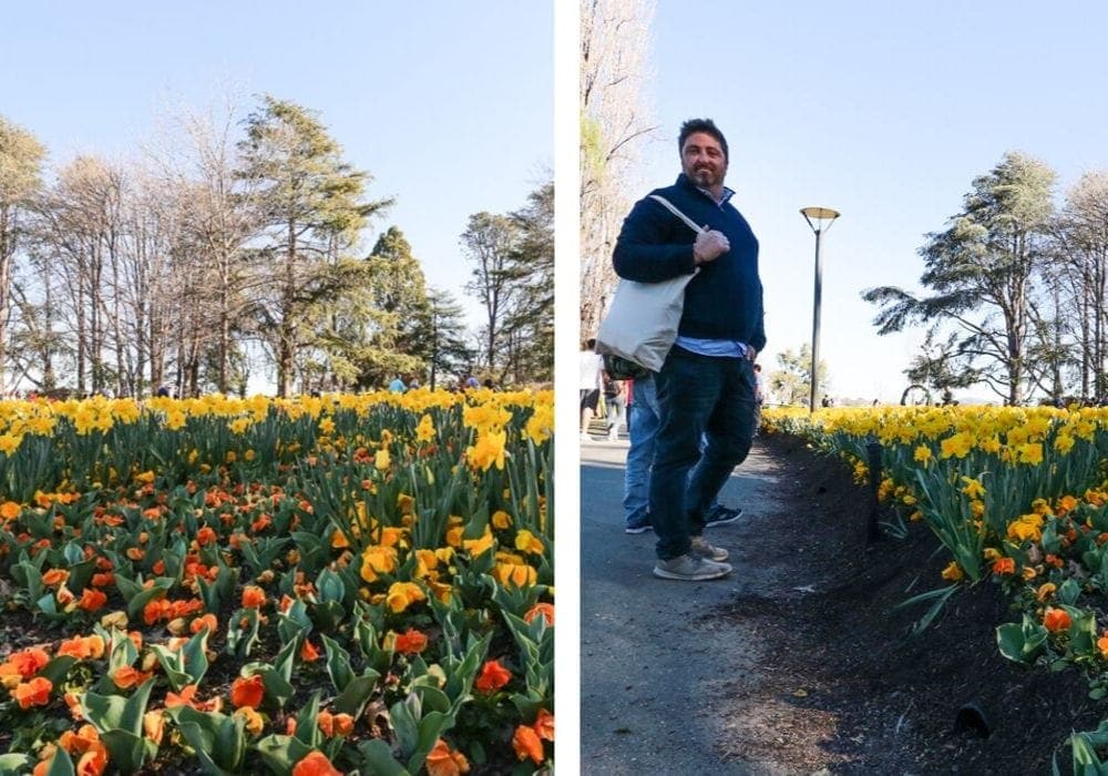 floriade-festival-reality