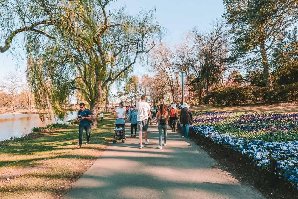 floriade-festival-canberra