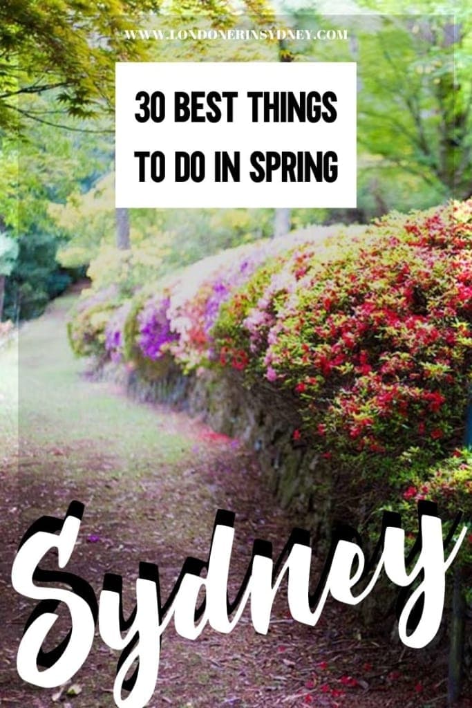things-do-to-in-sydney-in-spring - Londoner In Sydney things-do-to-in-sydney-in-spring
