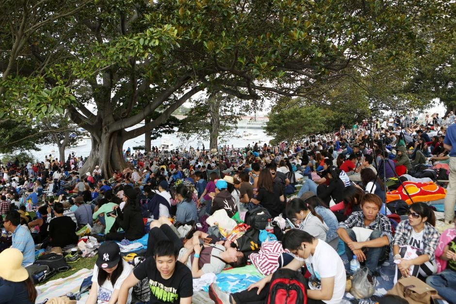mrs-macquaries-point-sydney-new-years-eve - Londoner In Sydney mrs-macquaries-point-sydney-new-years-eve