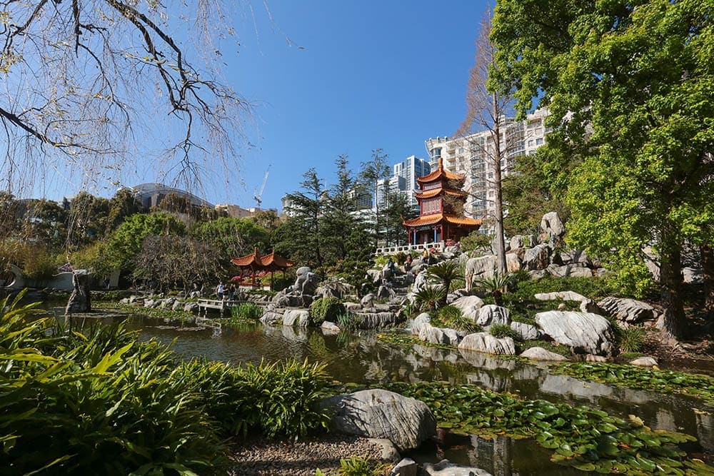 chinese-gardens-sydney-tourist-attractions
