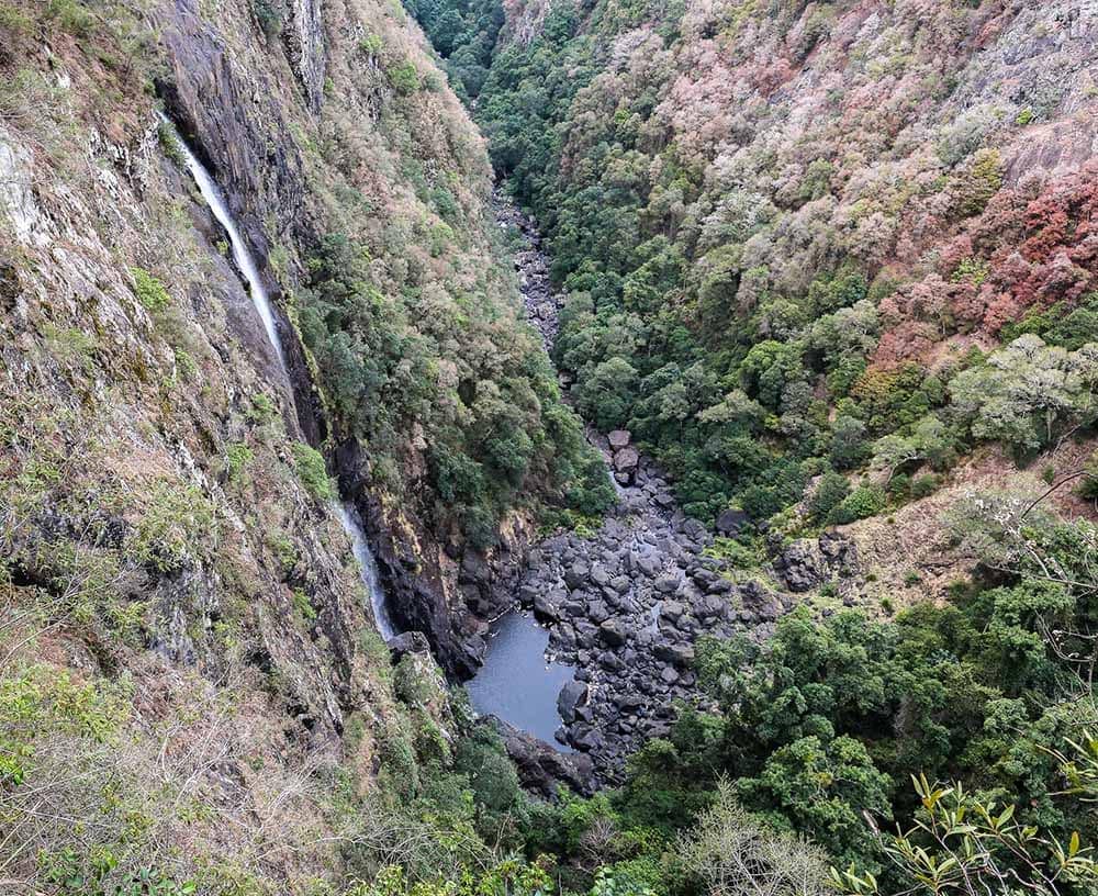 ellenborough-falls-nsw - Londoner In Sydney ellenborough-falls-nsw