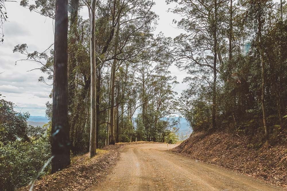 ellenborough-falls-drive-waterfalls-in-nsw - Londoner In Sydney ellenborough-falls-drive-waterfalls-in-nsw