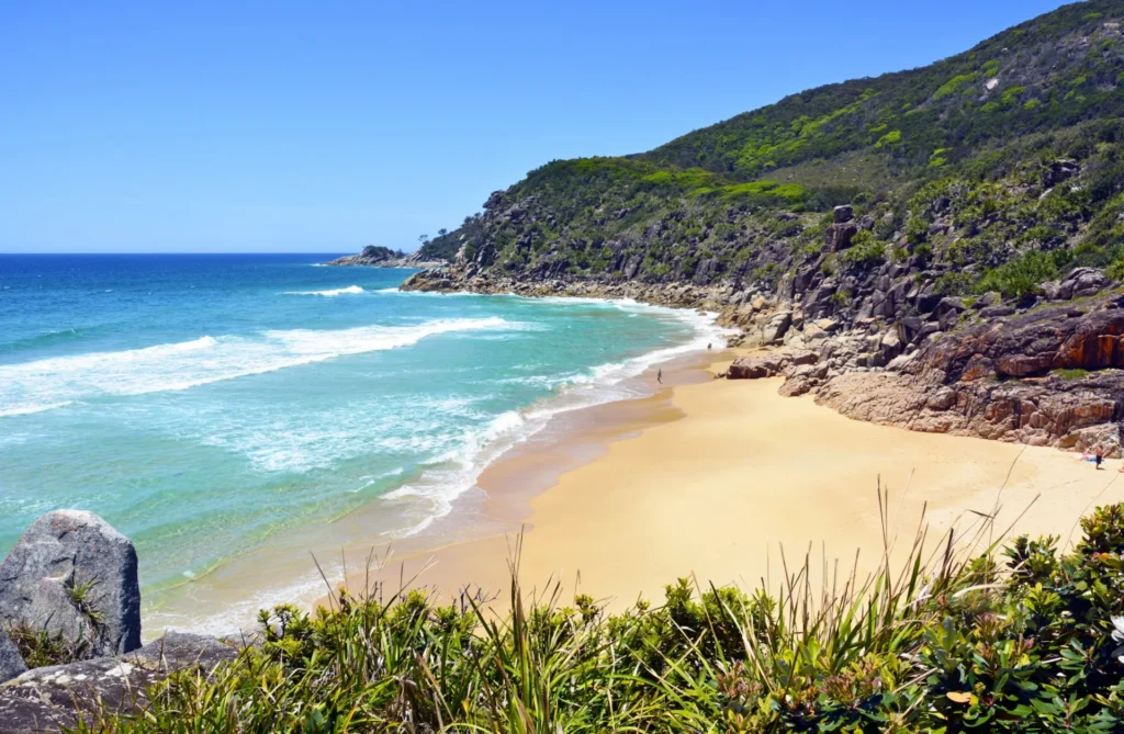 little-bay-beach-south-west-rocks