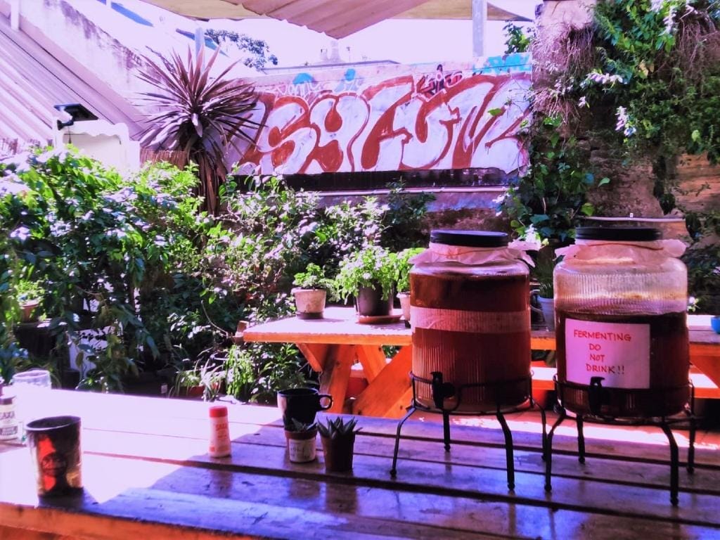 zen-harmony-house-best-hostels-in-sydney - Londoner In Sydney zen-harmony-house-best-hostels-in-sydney