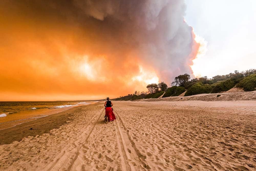 nsw-bush-fires-australia-1 - Londoner In Sydney nsw-bush-fires-australia-1