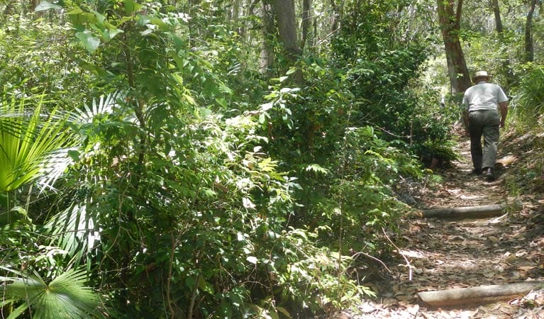 bridle-trail-south-west-rocks