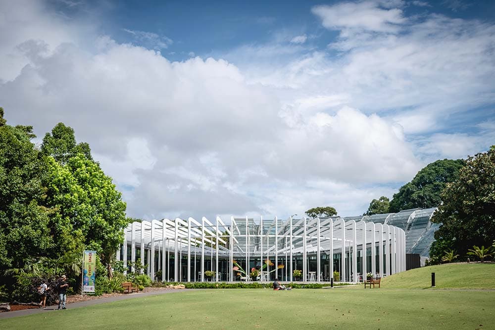 sydney-botanc-gardens - Londoner In Sydney walking-tour-in-sydney-adventure-clues