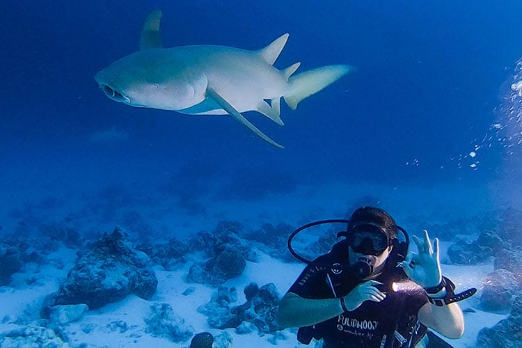 scuba-diving-in-maldives-with-fulidhoo-dive