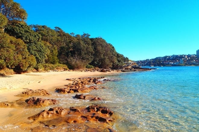 Reef-beach-manly-beaches