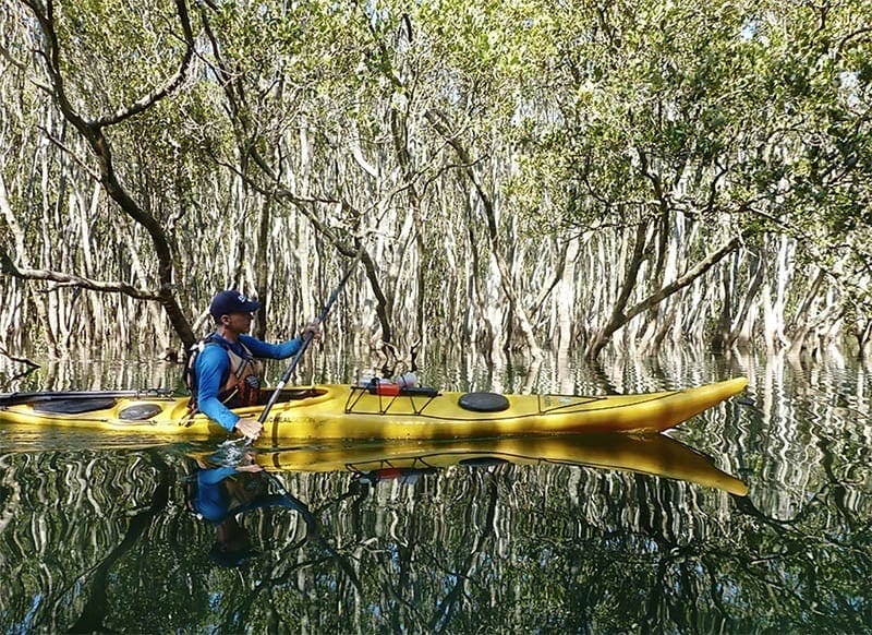 sydney-harbour-kayaks-1