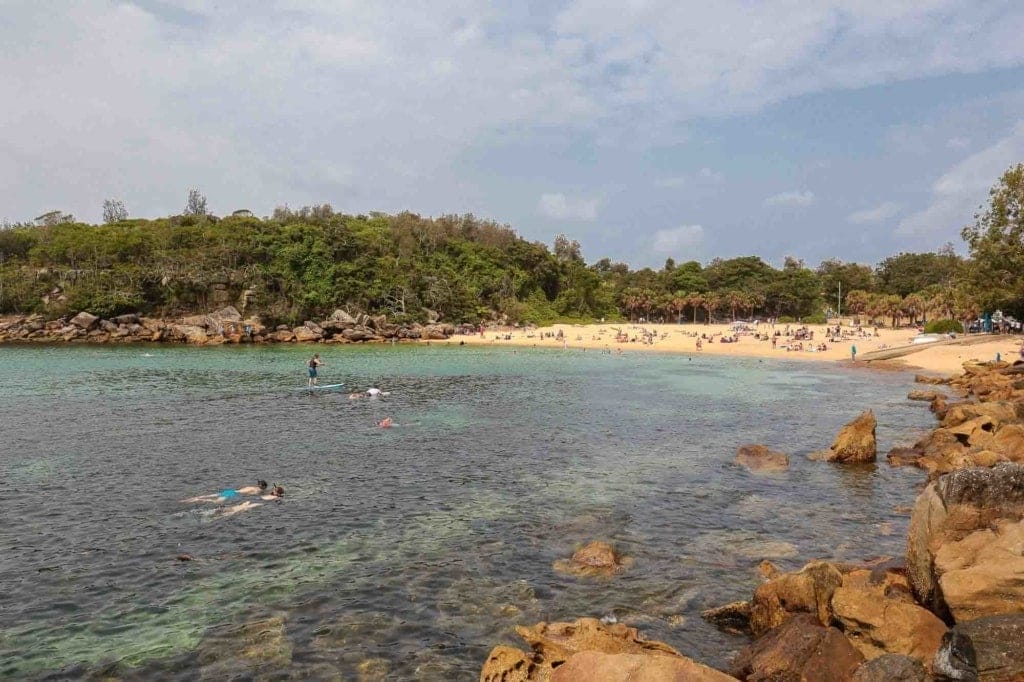 snorkelling-shelly-beach-manly