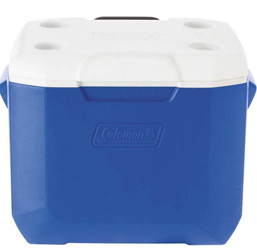 coleman-esky