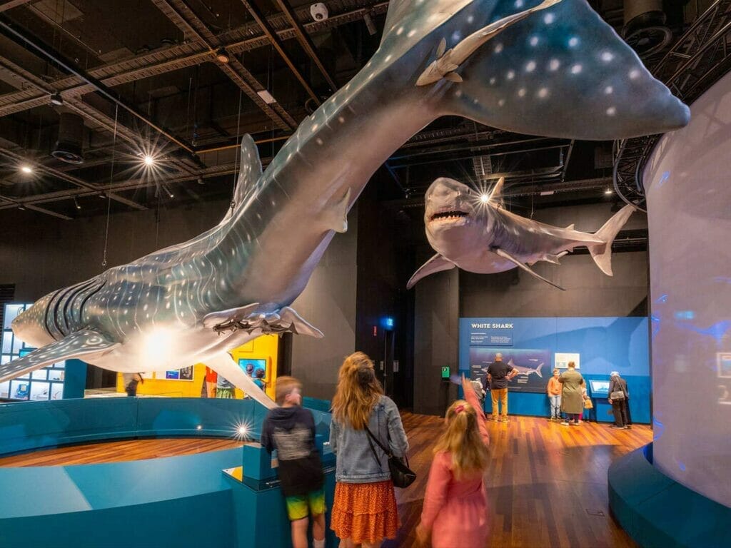 australian-museum-things-to-do-with-kid-in-sydney - Londoner In Sydney australian-museum-things-to-do-with-kid-in-sydney