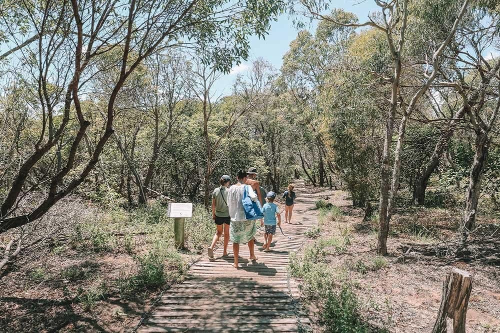 agnes-water-red-rock-trail - Londoner In Sydney agnes-water-red-rock-trail