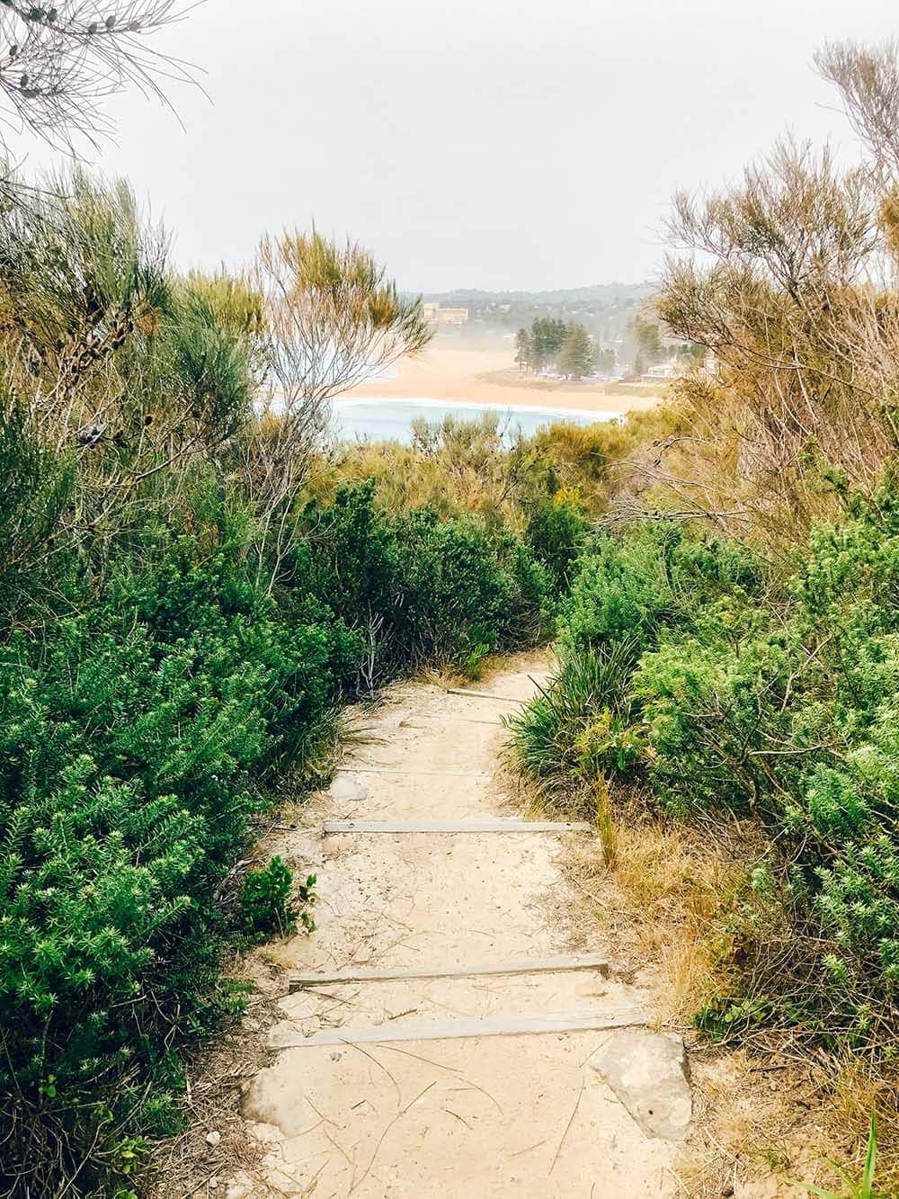 warriewood-beach-sydney