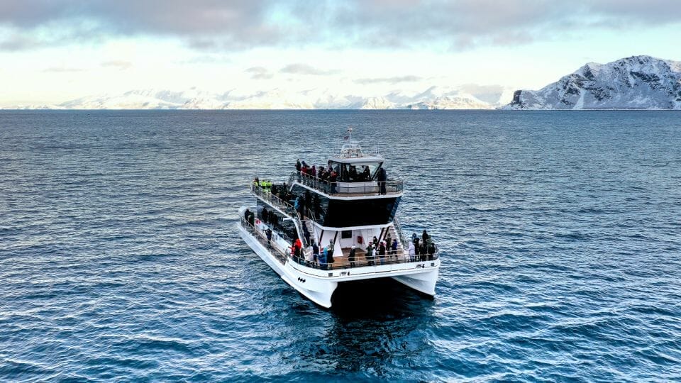 cruise-tromso-things-to-do-in-tromso