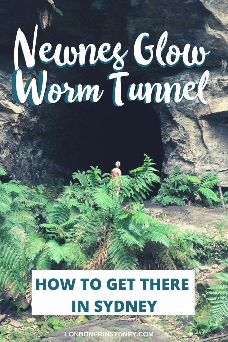 newnes-glow-worm-tunnel - Londoner In Sydney