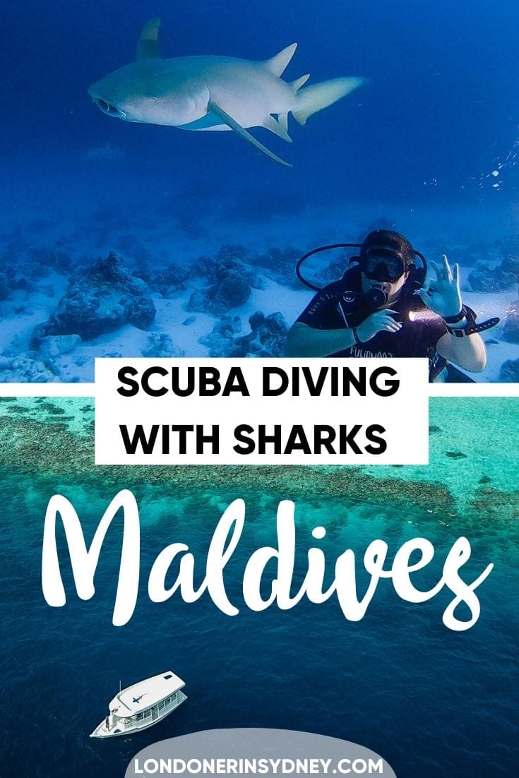 SCUBA-DIVING-IN-MALDIVES - Londoner In Sydney