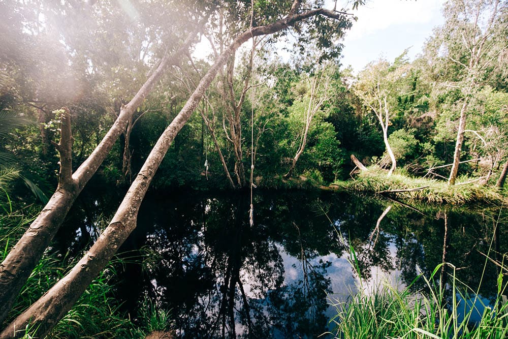 waterpark-creek-byfield-national-park