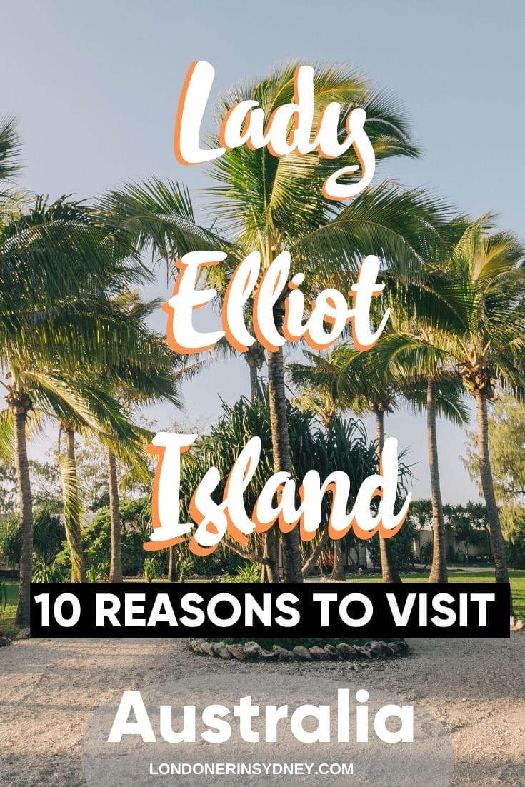 LADY-ELLIOT-ISLAND-REASONS-TO-VISIT - Londoner In Sydney