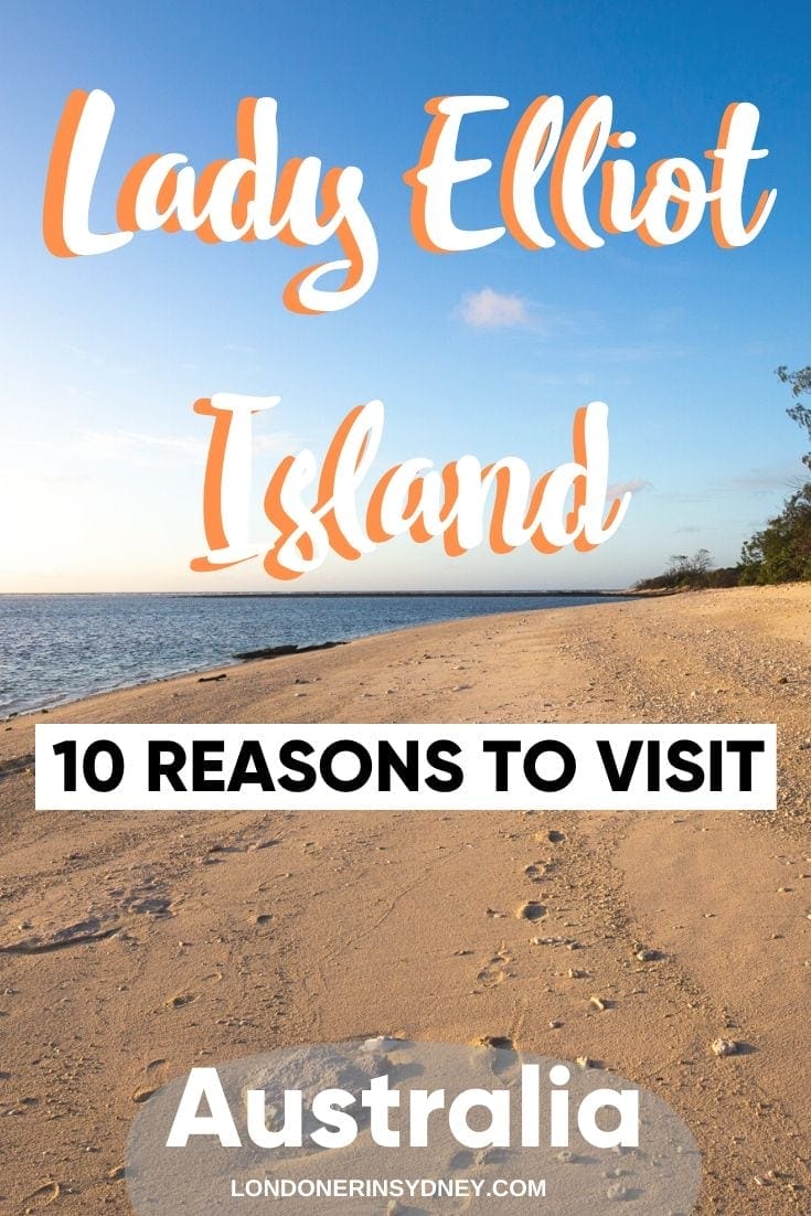 LADY-ELLIOT-ISLAND-REASONS-TO-VISIT-1 - Londoner In Sydney