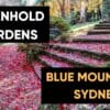 breenhold-gardens-blue-mountains