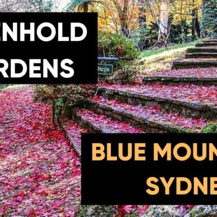 breenhold-gardens-blue-mountains