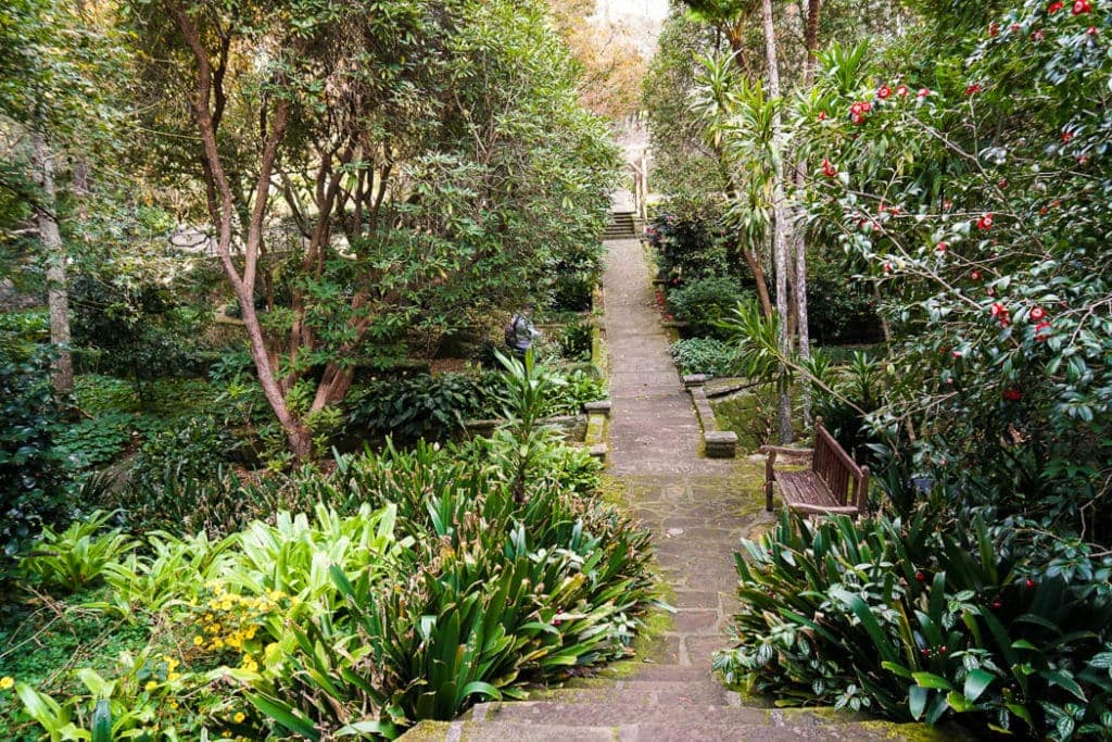 swain-gardens-1-1-of-1-1024x683-1 - Londoner In Sydney