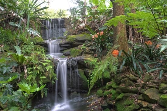 lisgar-gardens-review-2 - Londoner In Sydney