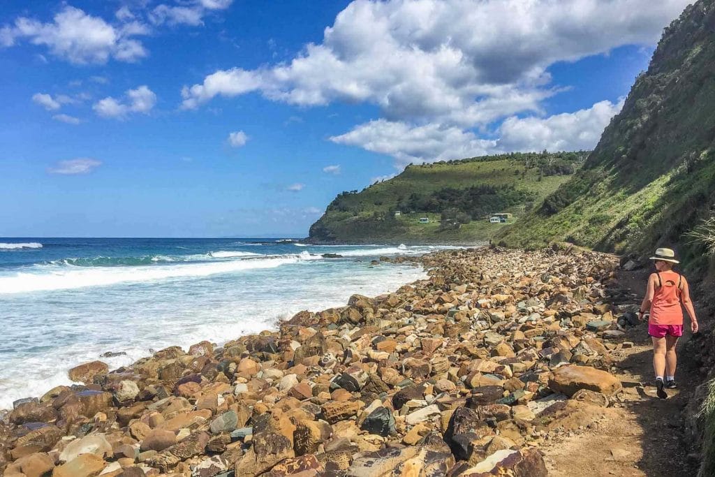 best-royal-national-park-walks-1 - Londoner In Sydney best-royal-national-park-walks-1