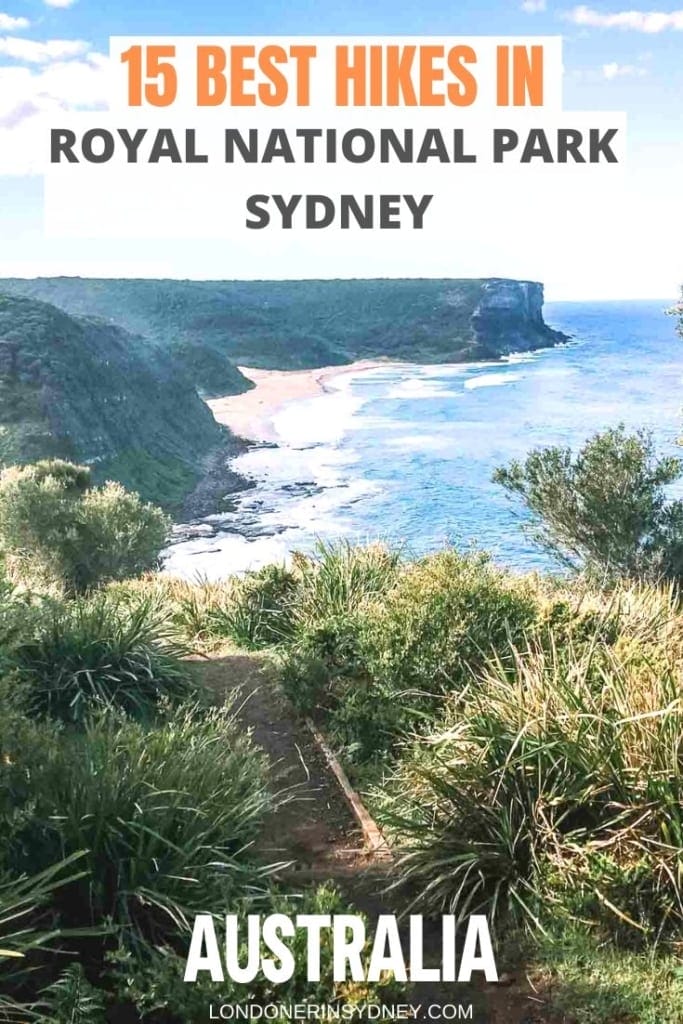 ROYAL-NATIONAL-PARK-WALKS-4-683x1024-1 - Londoner In Sydney