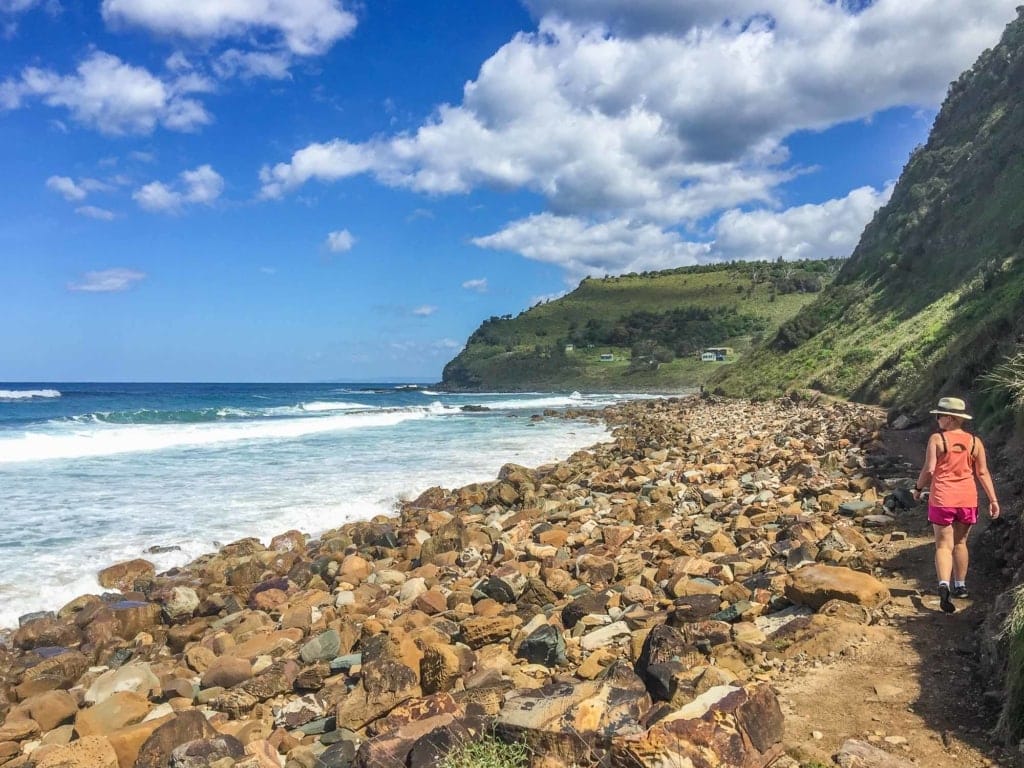 royal-national-park-sydney