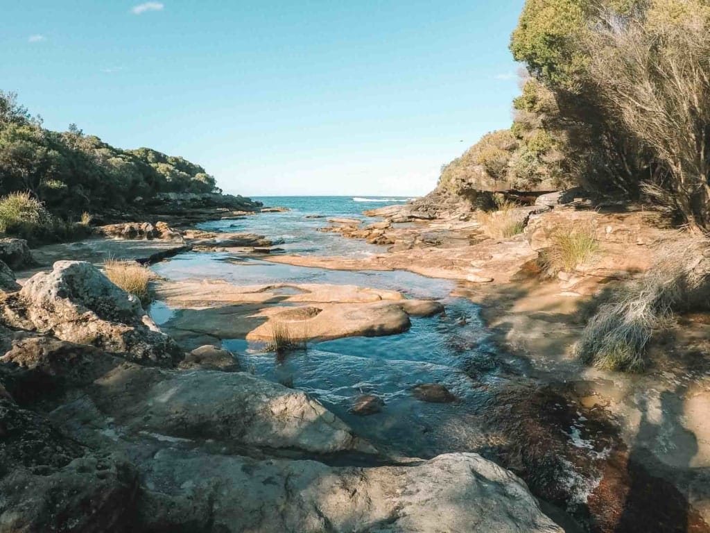 royal-national-park-sydney - Londoner In Sydney royal-national-park-sydney