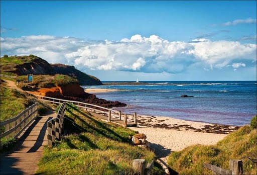 long-reef-walking-track-collaroy-northern-beaches-in-sydney-1 - Londoner In Sydney